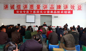 科技賦能，服務下沉——省會專家服務辛集行活動圓滿落幕